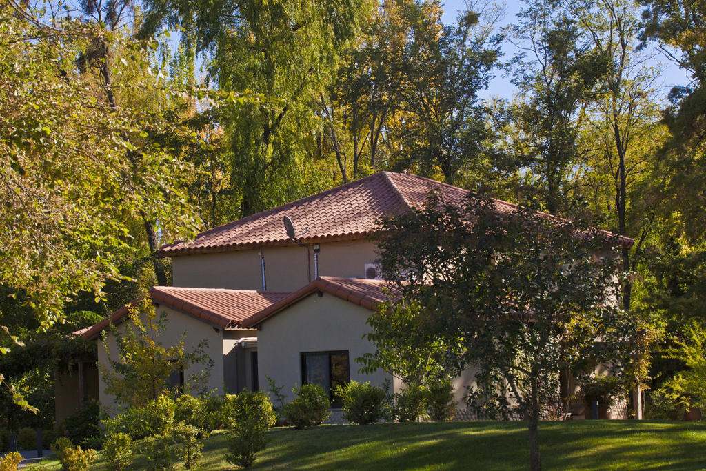 Posada Salentein Los Árboles Szoba fotó